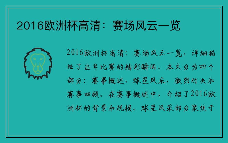 2016欧洲杯高清：赛场风云一览